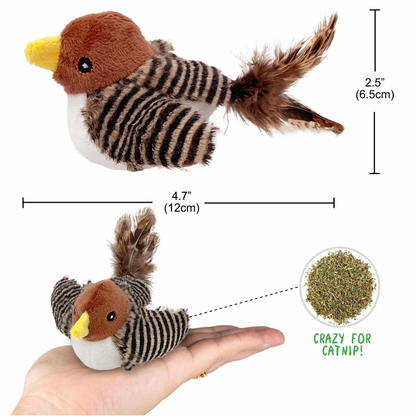 The Purrfect Feathered Frenzy: Cat's Ultimate Solo Squeaky Bird Chase to Combat Kitty Boredom!