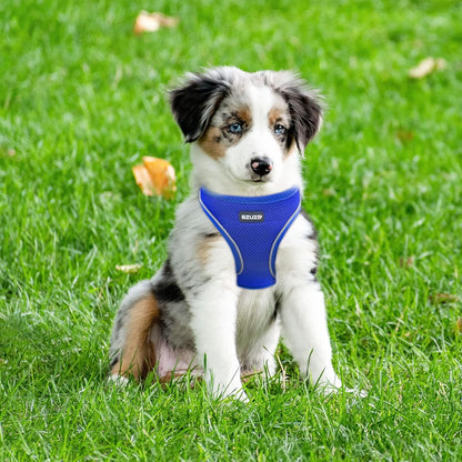 Paw-some Royal Blue Snugglinator: The Unsinkable Small Dog Harness That Says "No Pull, Just Chill!