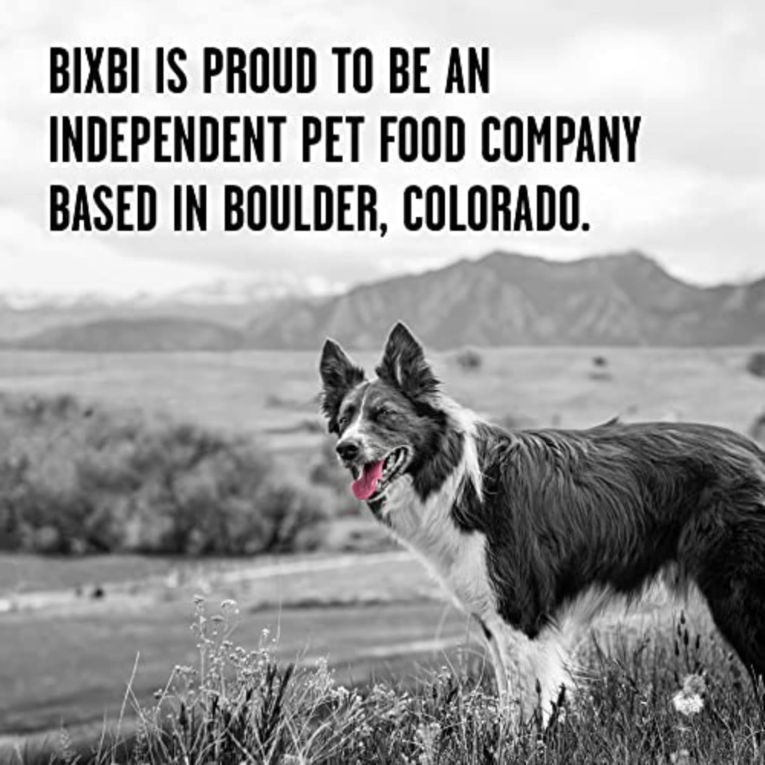 Porky Paws' Freedom Crunchies: 97% Meaty Goodness for Your Pup, No Fridge Required – Made in the USA, 26 Oz of Tail-Wagging Delight!