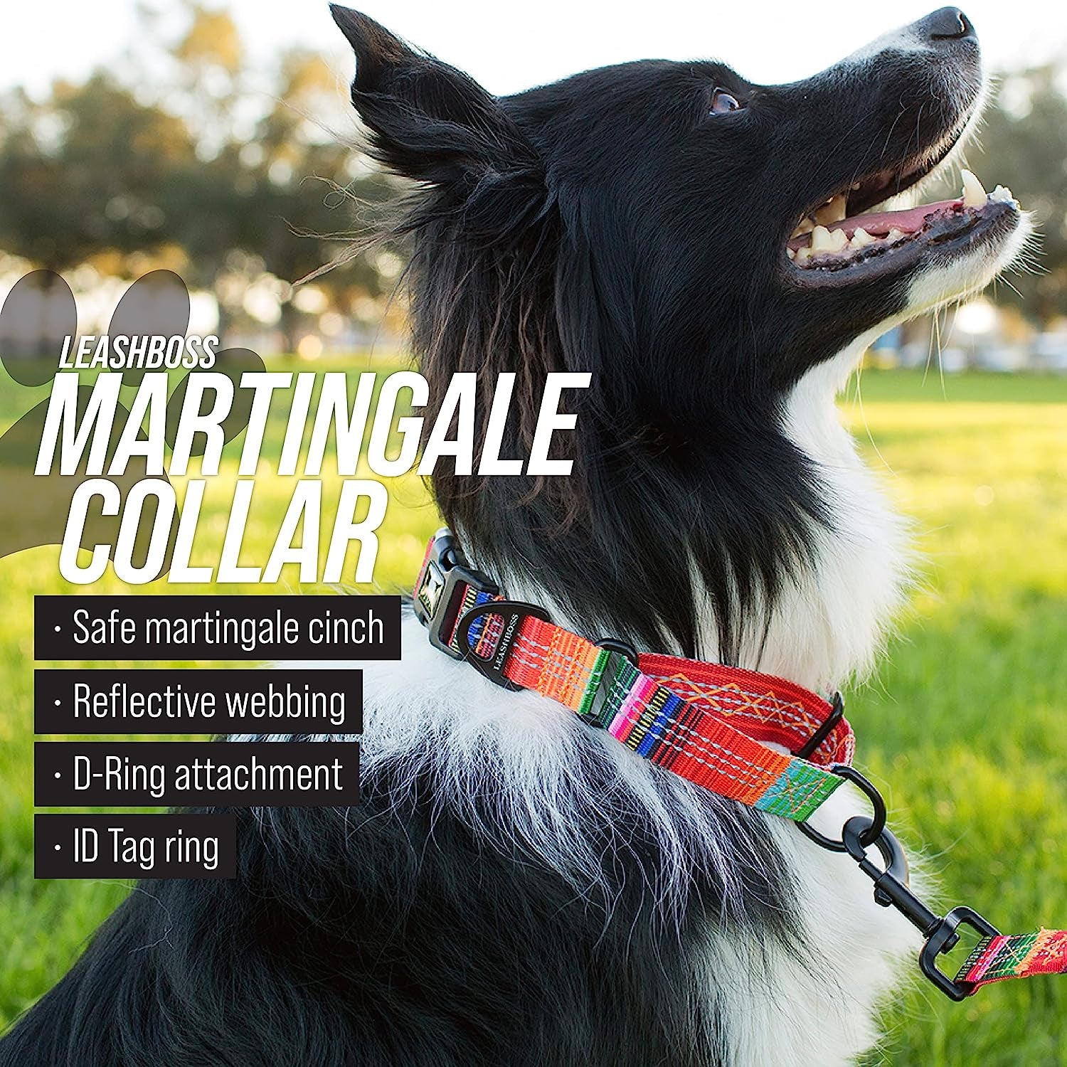 Martingale Collar for Pooches: The Glow-in-the-Dark Magic Leash Buddy for Dogs of All Sizes - No More Tug-of-War, Just Snazzy Walks!