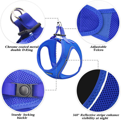 Paw-some Royal Blue Snugglinator: The Unsinkable Small Dog Harness That Says "No Pull, Just Chill!