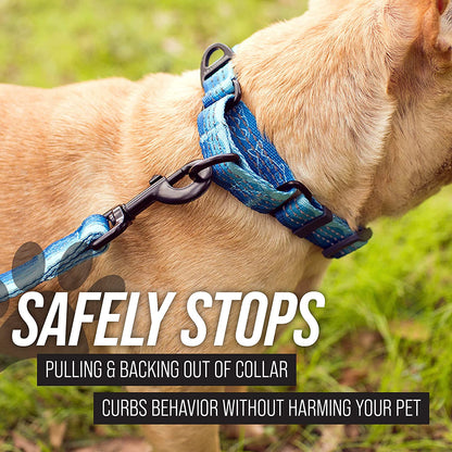 Martingale Collar for Pooches: The Glow-in-the-Dark Magic Leash Buddy for Dogs of All Sizes - No More Tug-of-War, Just Snazzy Walks!