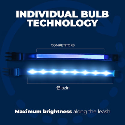 Light up Dog Leash - 1,000 Feet of Visibility - USB Rechargeable Waterproof Glow in the Dark Dog Leash - 4 Foot, Purple