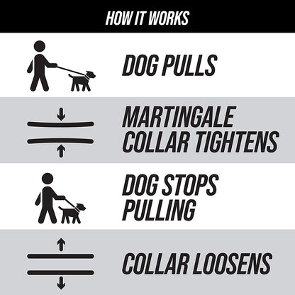 Martingale Collar for Pooches: The Glow-in-the-Dark Magic Leash Buddy for Dogs of All Sizes - No More Tug-of-War, Just Snazzy Walks!
