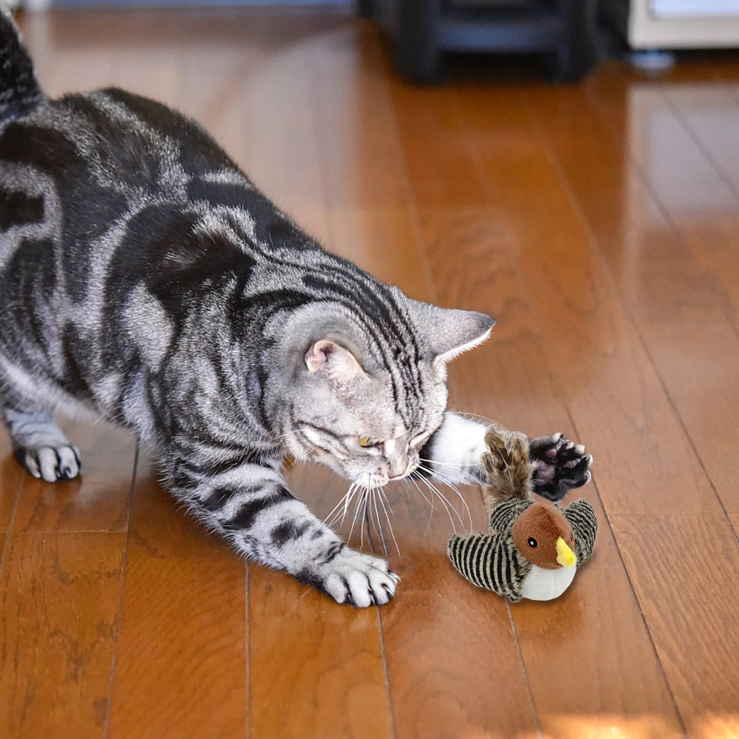 The Purrfect Feathered Frenzy: Cat's Ultimate Solo Squeaky Bird Chase to Combat Kitty Boredom!