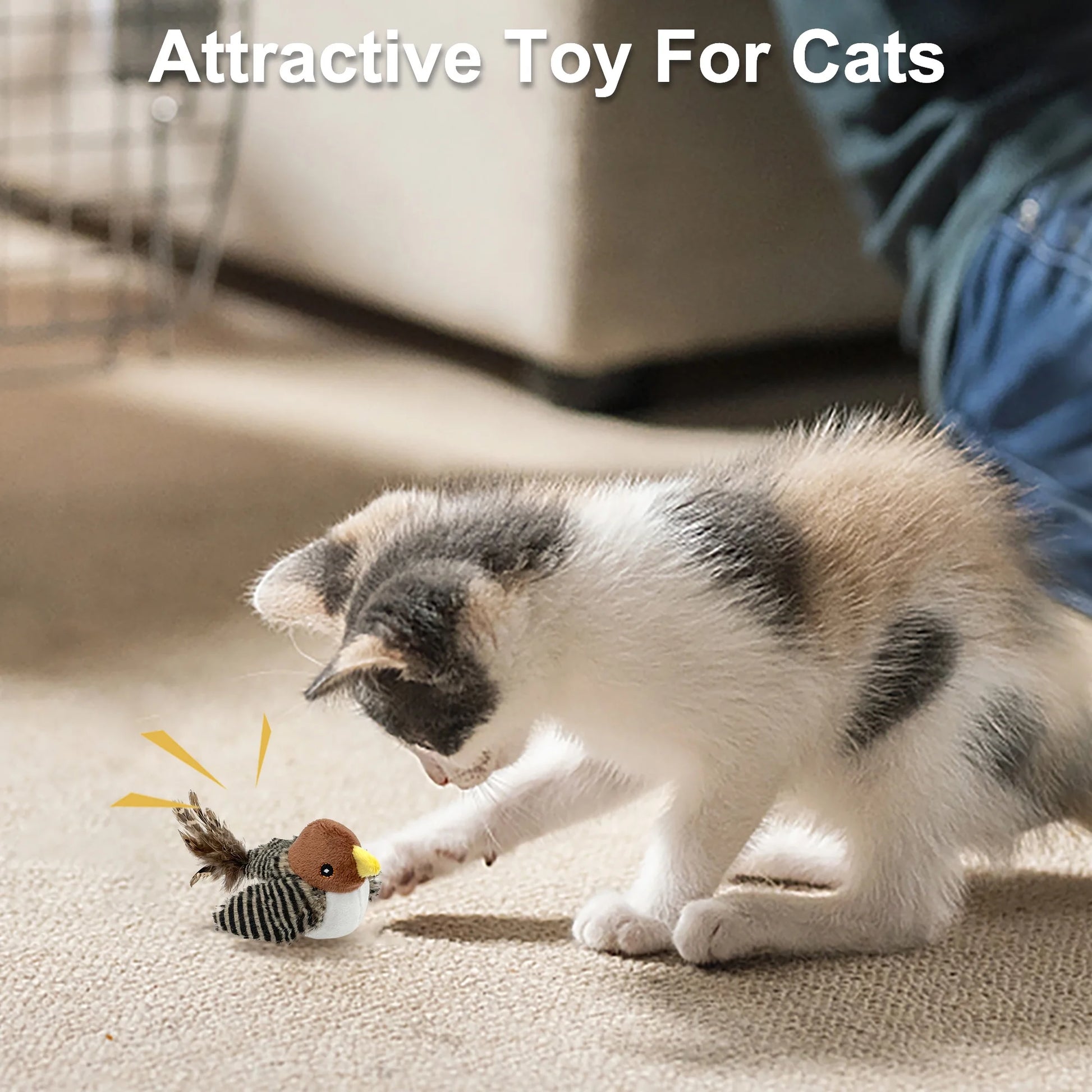 The Purrfect Feathered Frenzy: Cat's Ultimate Solo Squeaky Bird Chase to Combat Kitty Boredom!