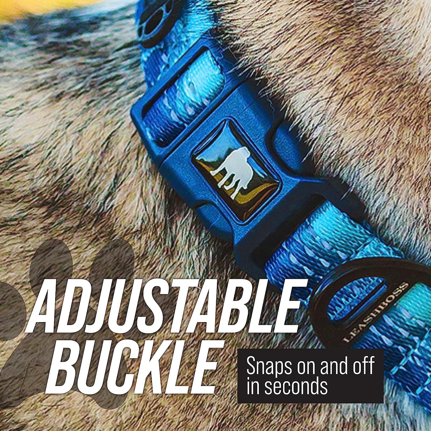 Martingale Collar for Pooches: The Glow-in-the-Dark Magic Leash Buddy for Dogs of All Sizes - No More Tug-of-War, Just Snazzy Walks!
