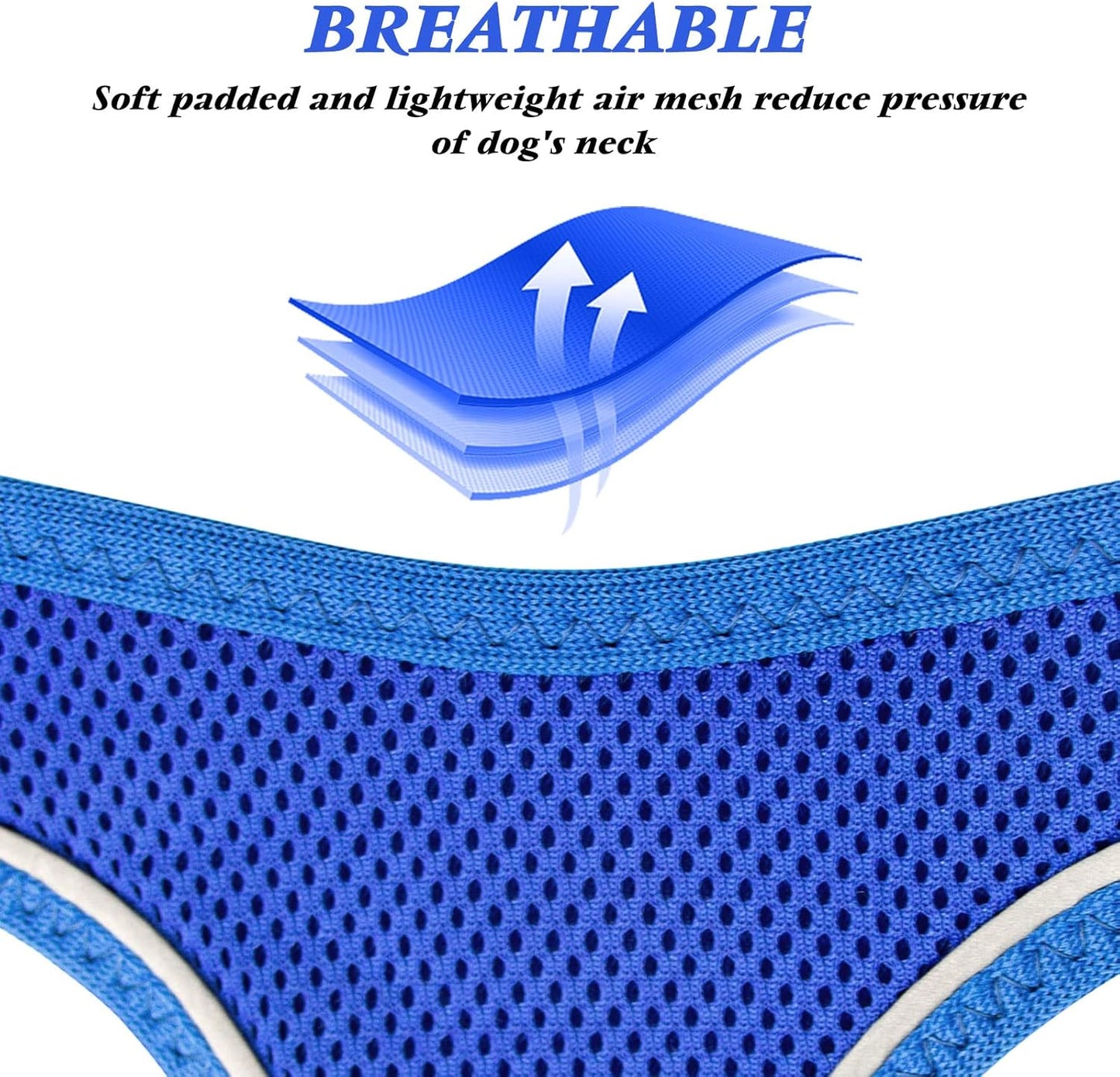 Paw-some Royal Blue Snugglinator: The Unsinkable Small Dog Harness That Says "No Pull, Just Chill!