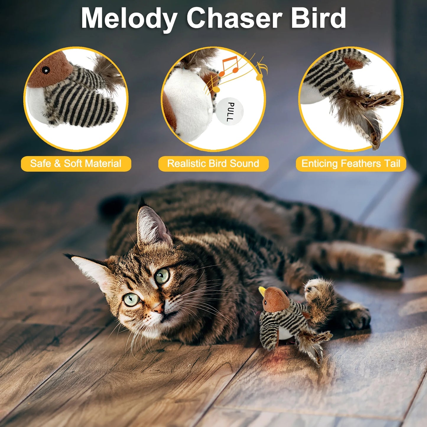 The Purrfect Feathered Frenzy: Cat's Ultimate Solo Squeaky Bird Chase to Combat Kitty Boredom!