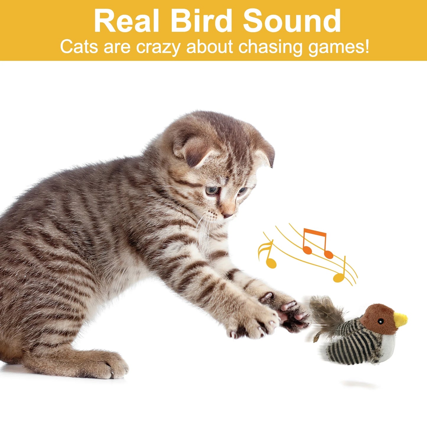 The Purrfect Feathered Frenzy: Cat's Ultimate Solo Squeaky Bird Chase to Combat Kitty Boredom!